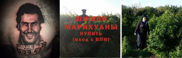 трава Куйбышев