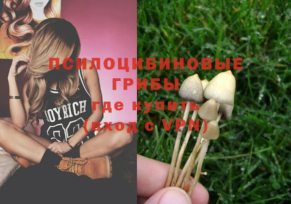трава Куйбышев