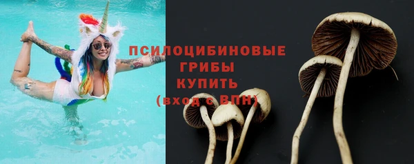 2c-b Кулебаки