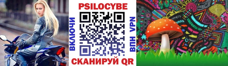 Псилоцибиновые грибы Psilocybe Мичуринск