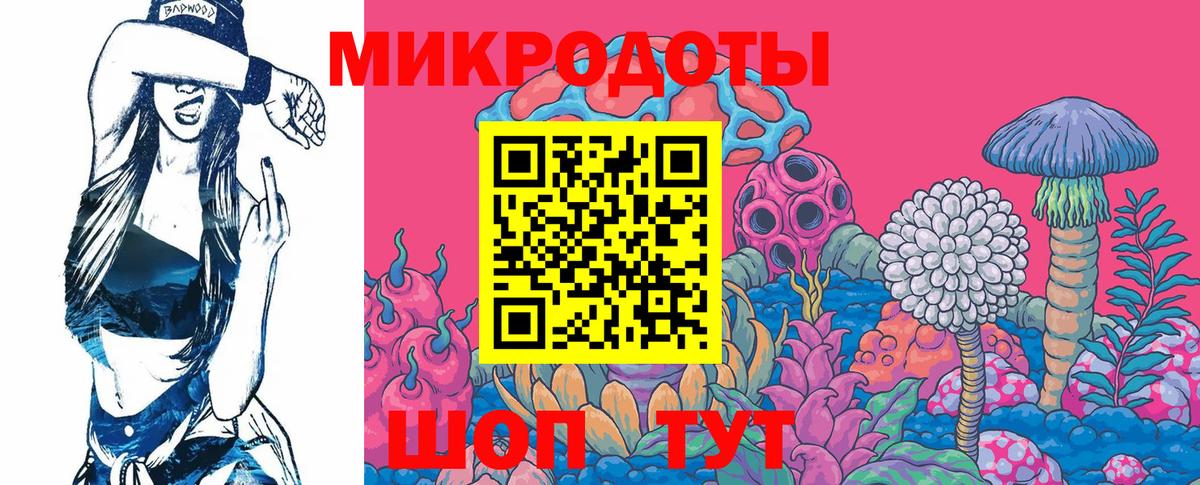 Галлюциногенные грибы Psilocybe  Псилоцибиновые грибы Psilocybe  Вход с VPN  Мичуринск 