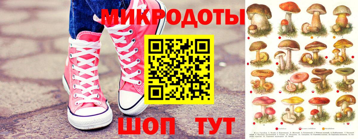 Галлюциногенные грибы Psilocybe Мичуринск
