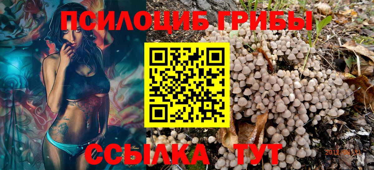 Галлюциногенные грибы GOLDEN TEACHER Мичуринск