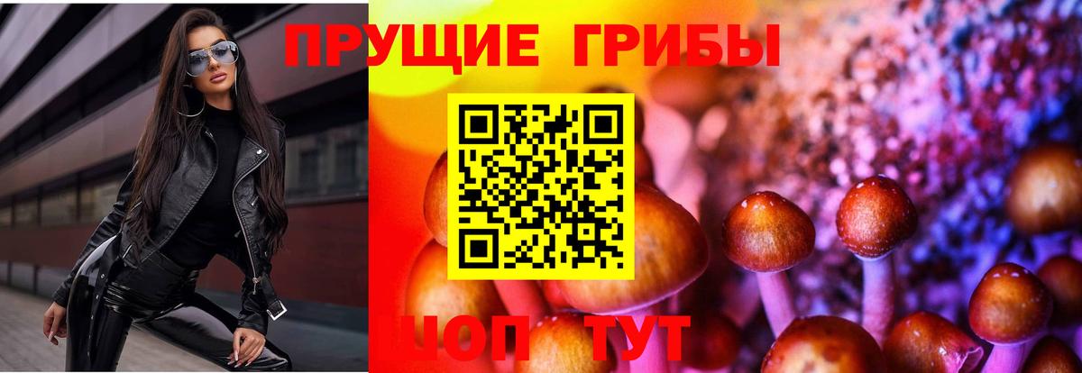 Галлюциногенные грибы Psilocybe  Псилоцибиновые грибы Cubensis  где продают наркотики  Мичуринск 